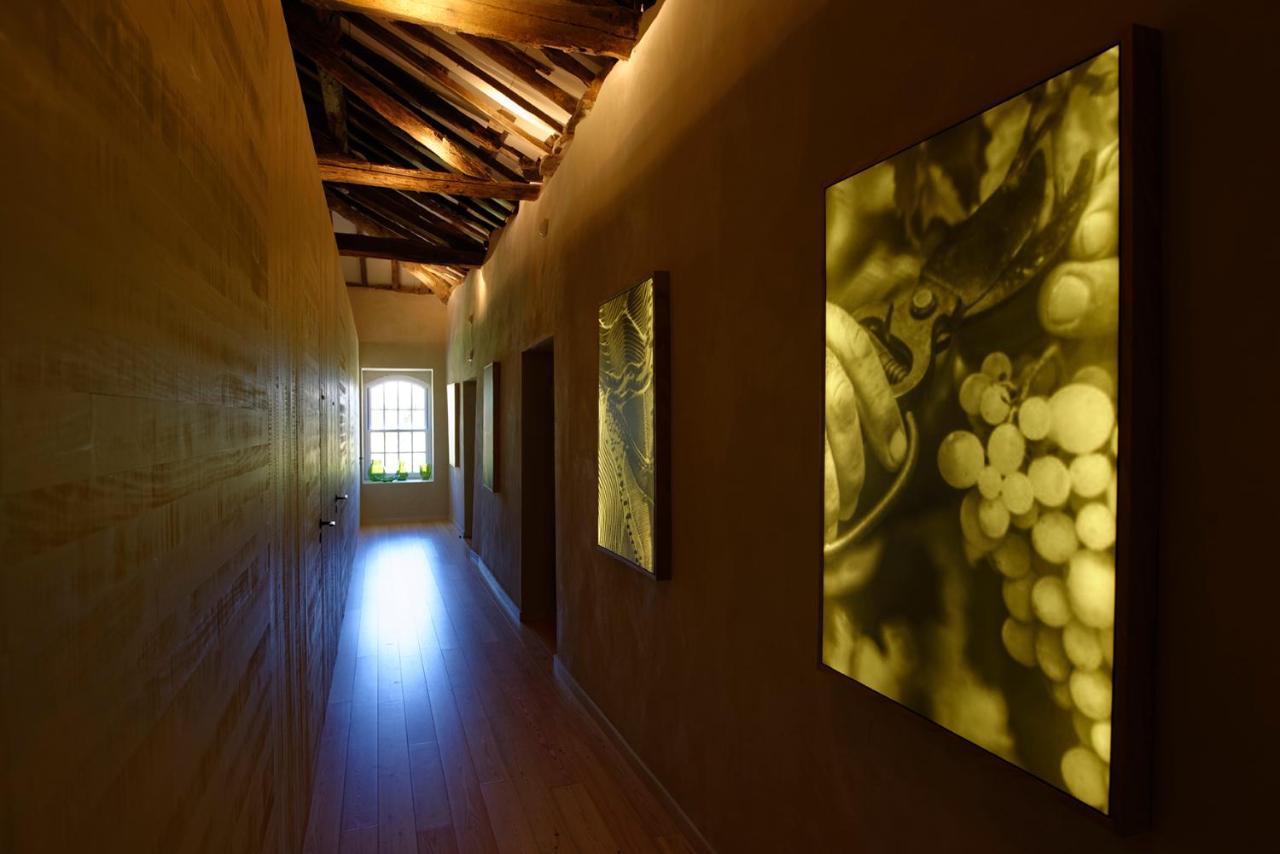 Quinta Da Casa Amarela- Casas Da Quinta - Turismo Em Espaco Rural Lamego Eksteriør billede