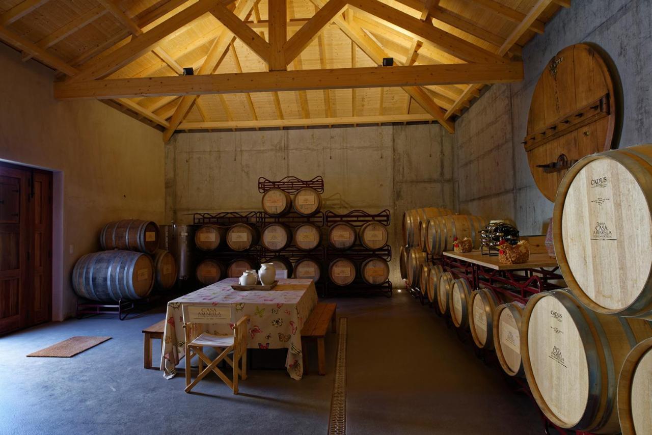 Quinta Da Casa Amarela- Casas Da Quinta - Turismo Em Espaco Rural Lamego Eksteriør billede